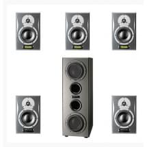 Dynaudio AIR6  D6